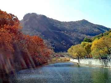 天天彩好彩天天免费，山东省机电学校